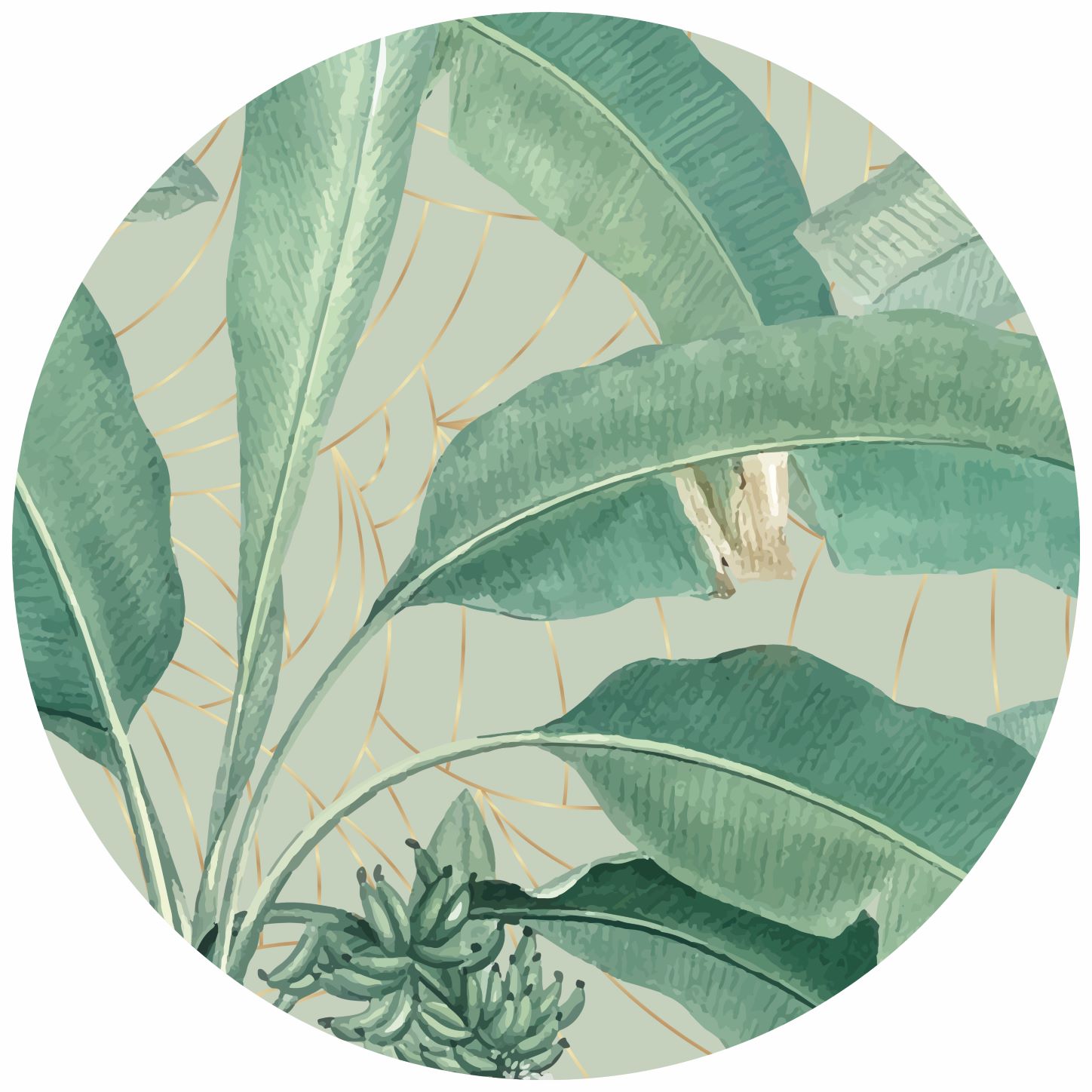 Q103.2 Eleganza tropicale CERCHIO