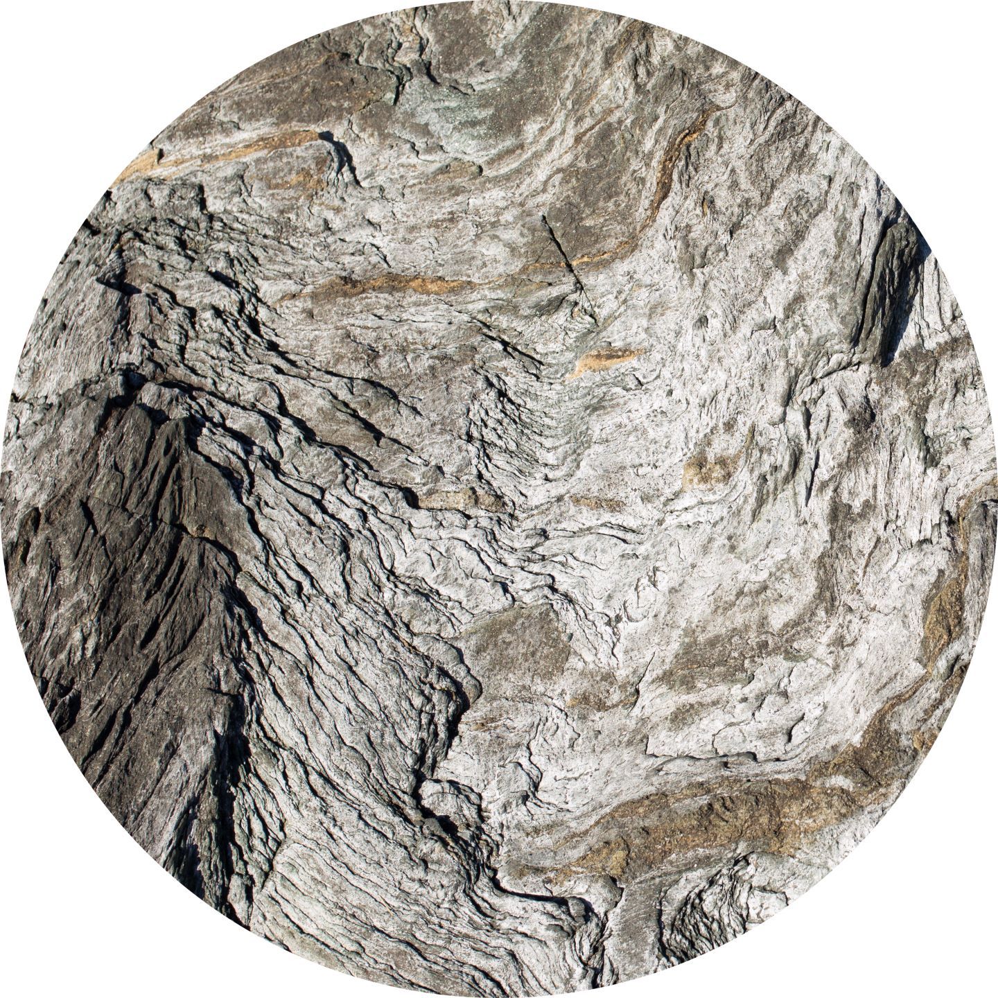 M9Sedimenti