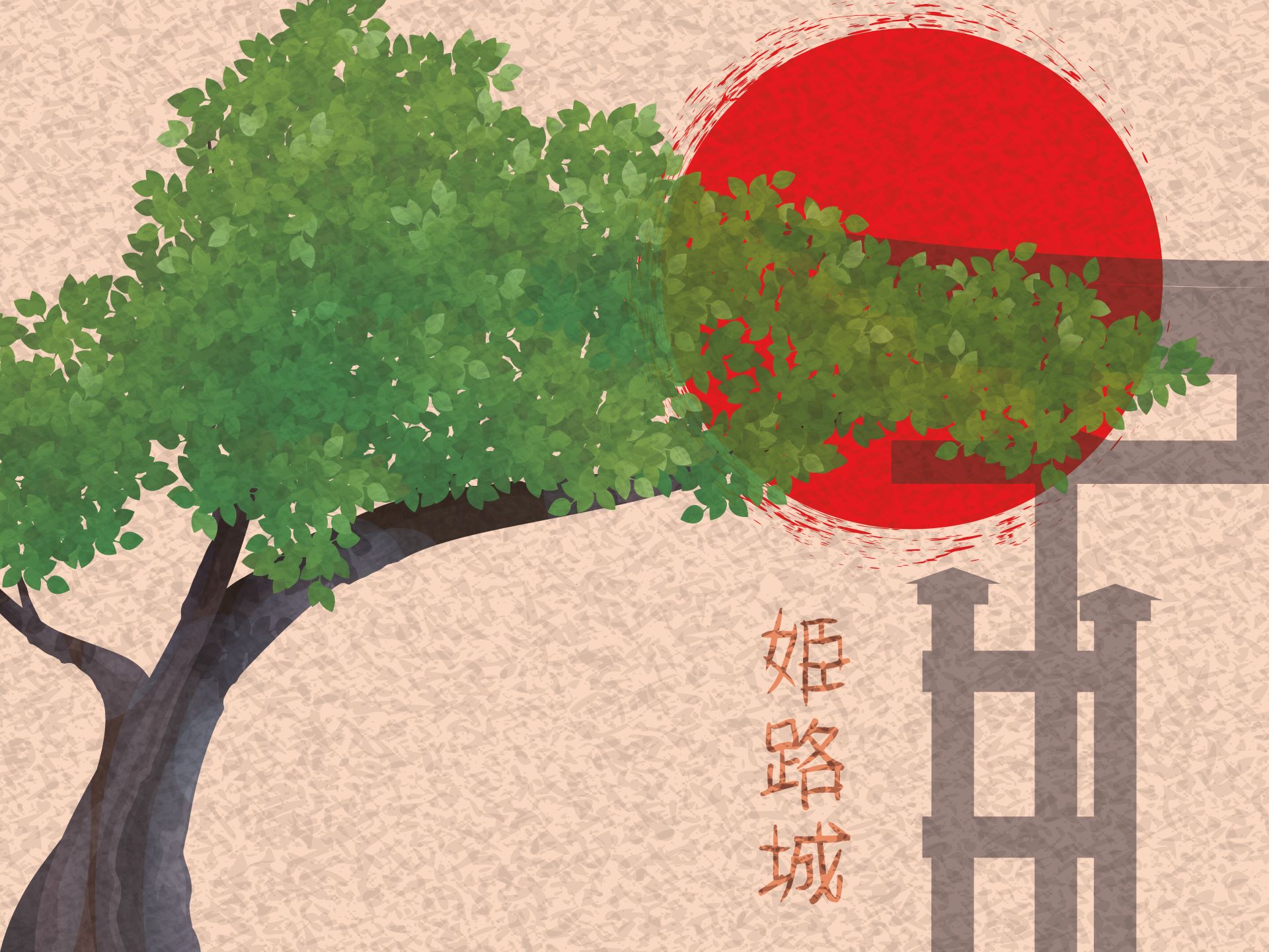 Z296.1 Bonsai