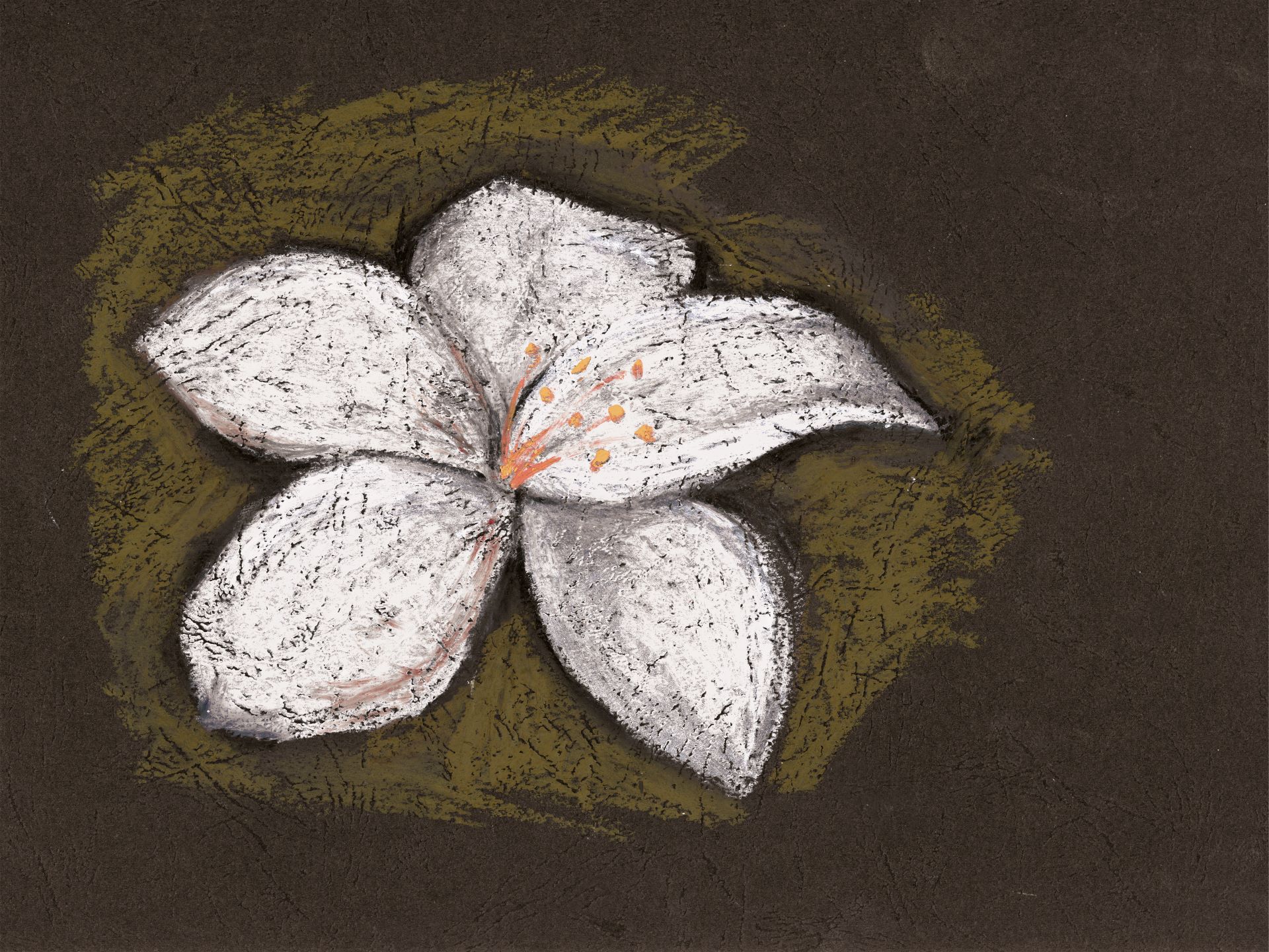 Petali_di_fantasia_4_manarti_carte_da_parati_wallpaper