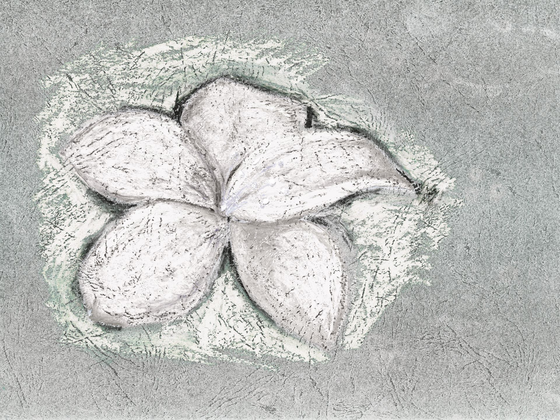 Petali_di_fantasia_6_manarti_carte_da_parati_wallpaper