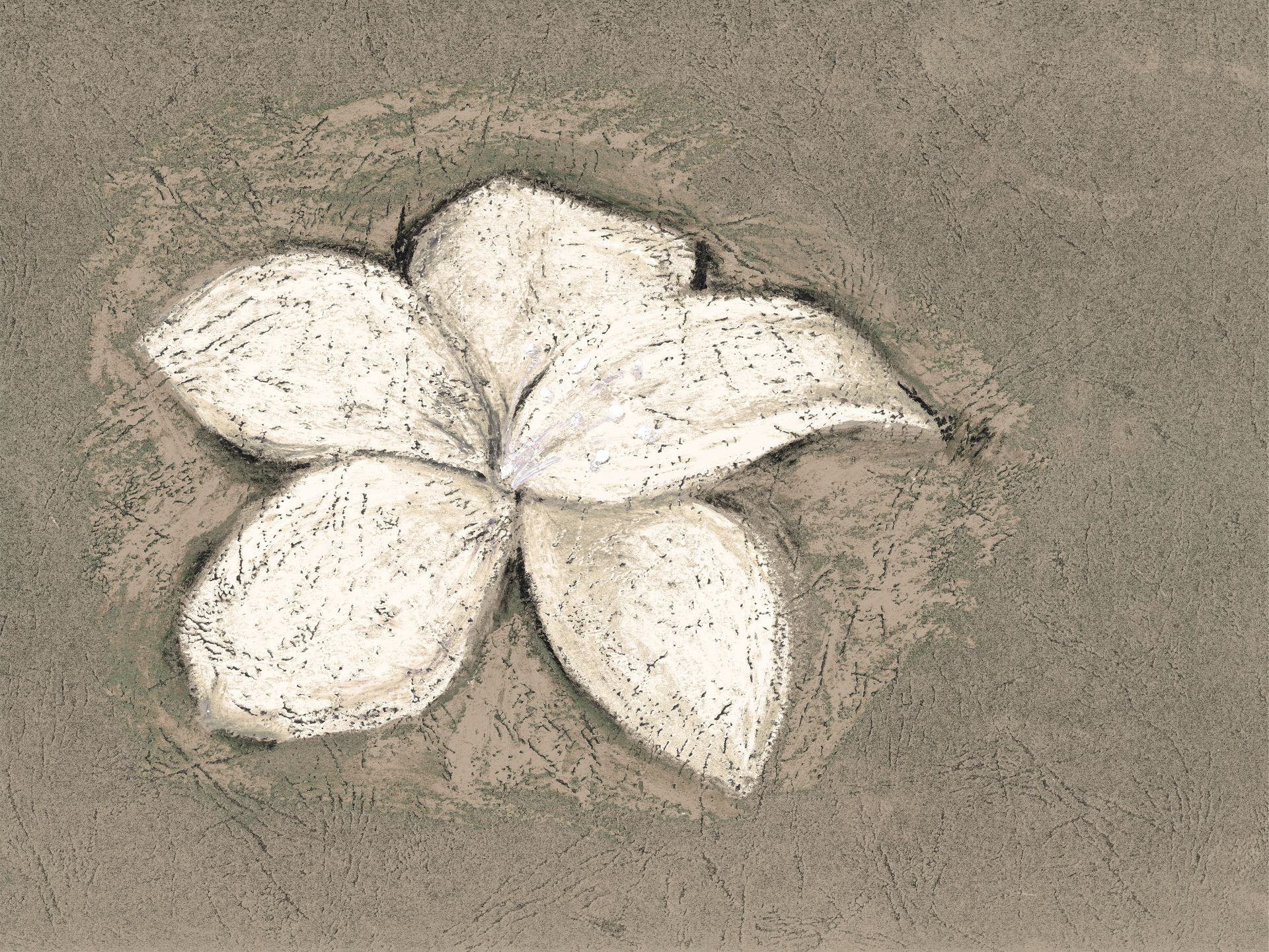 Petali_di_fantasia_7_manarti_carte_da_parati_wallpaper