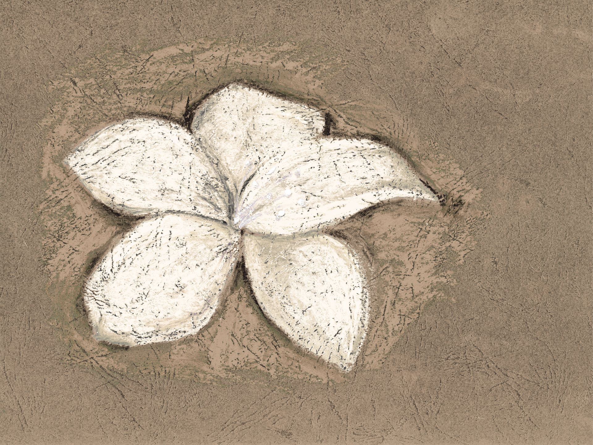 Petali_di_fantasia_8_manarti_carte_da_parati_wallpaper