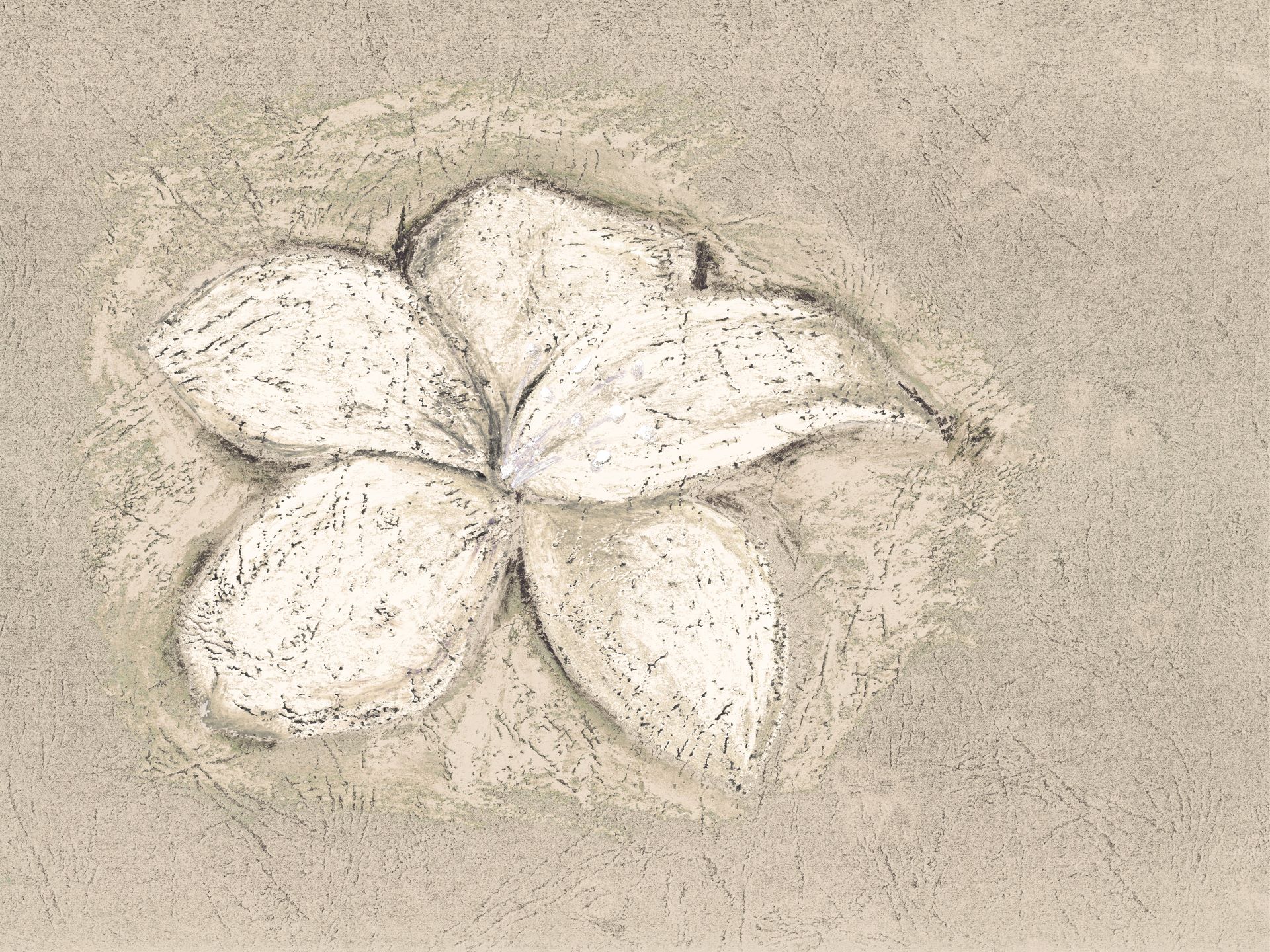 Petali_di_fantasia_9_manarti_carte_da_parati_wallpaper