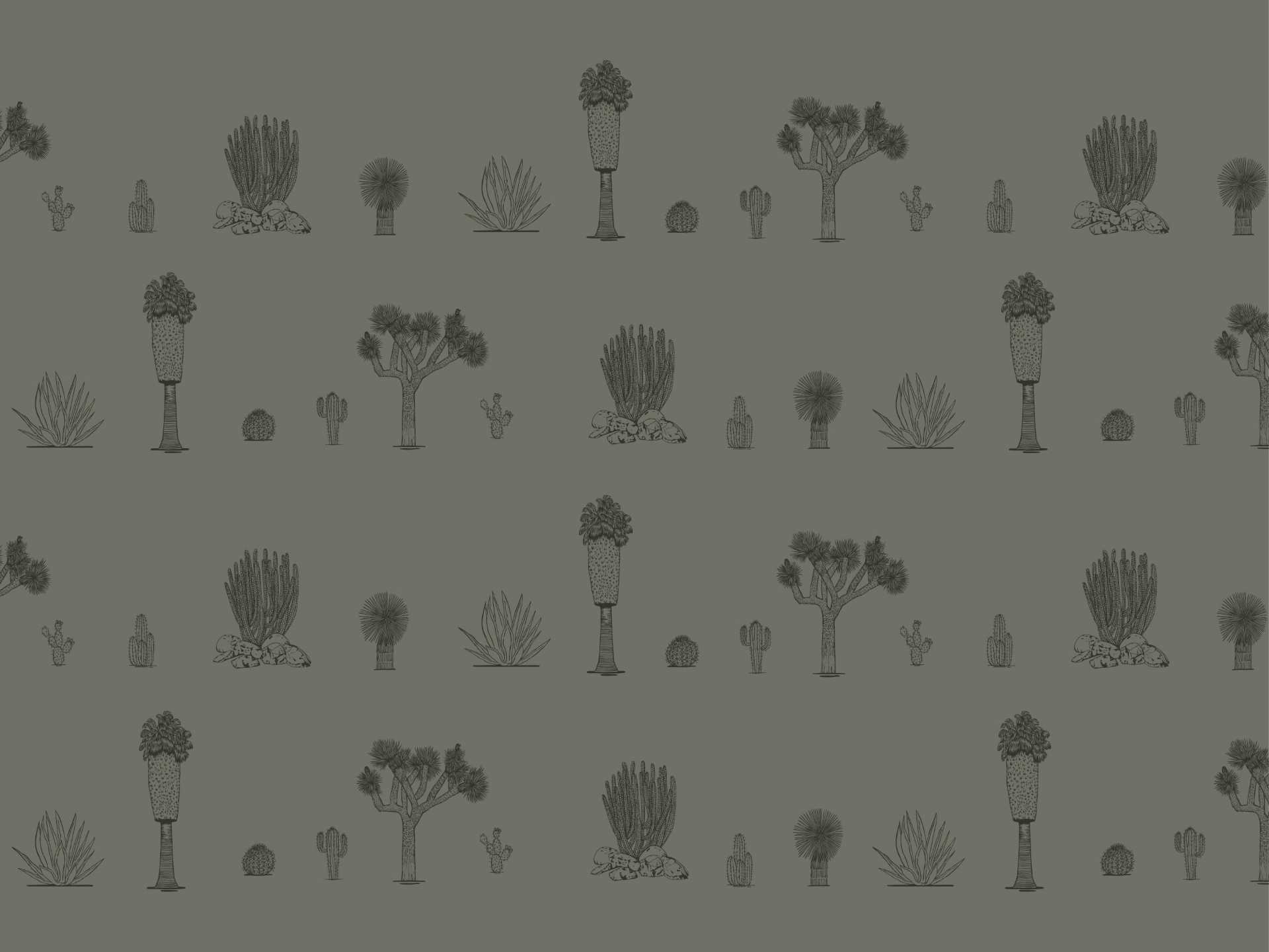 Desert.medium.green.blank.line.green80 Joshua palm springs medium è una carta da parati realizzata da Lucia Simonetti in collaborazione con Manarti