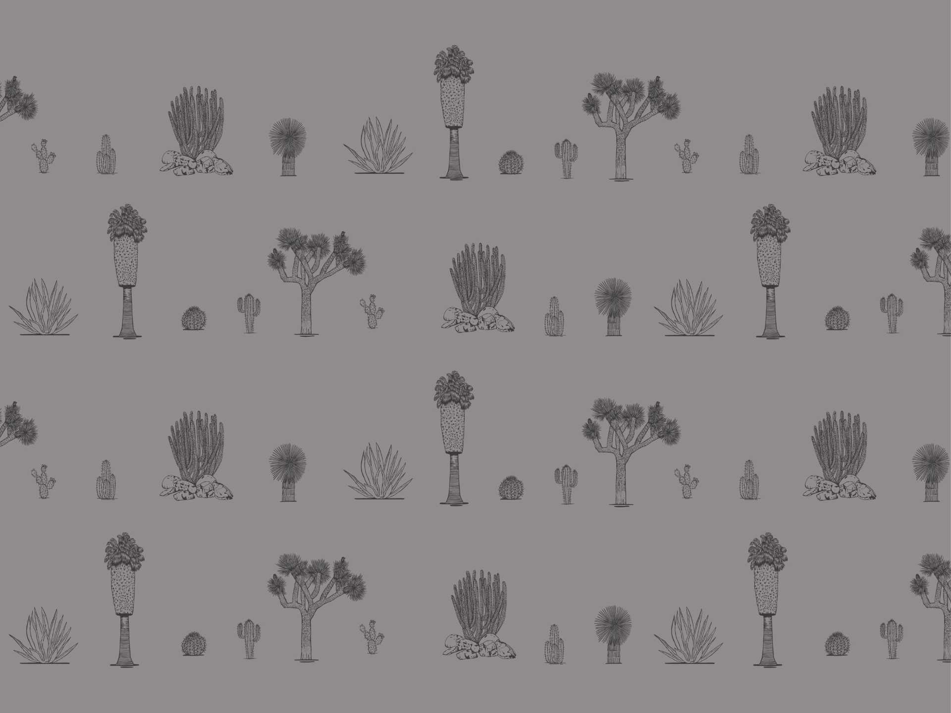 Desert.medium.grey.blank.line.grey80 Joshua palm springs medium è una carta da parati realizzata da Lucia Simonetti in collaborazione con Manarti