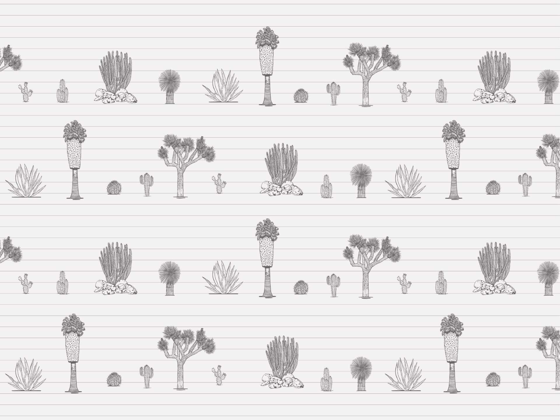 Desert.medium.white.split.line.grey53 Joshua palm springs medium è una carta da parati realizzata da Lucia Simonetti in collaborazione con Manarti