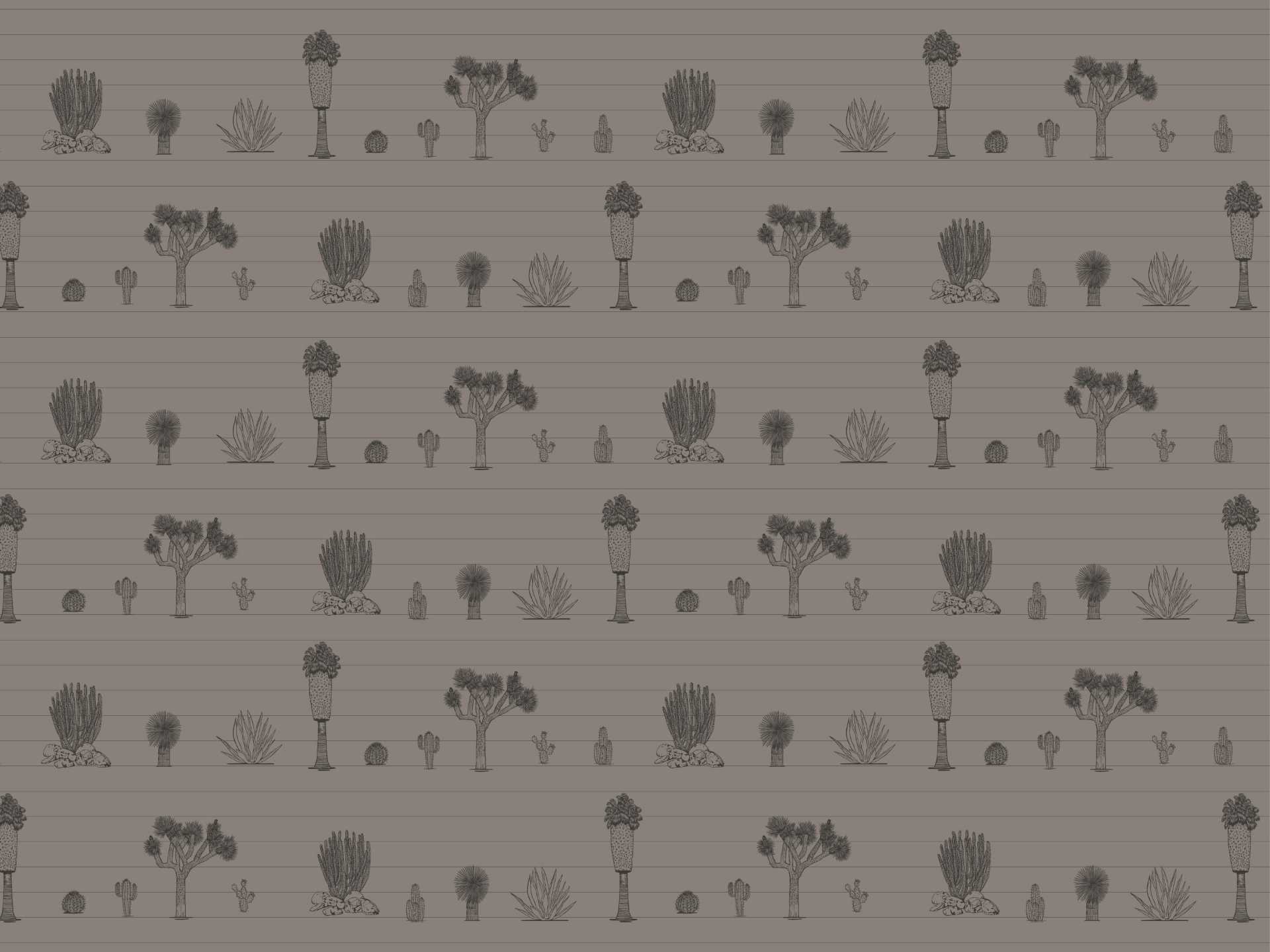 Desert.small.grey.split.line.grey80 Joshua palm springs small è una carta da parati realizzata da Lucia Simonetti in collaborazione con Manarti