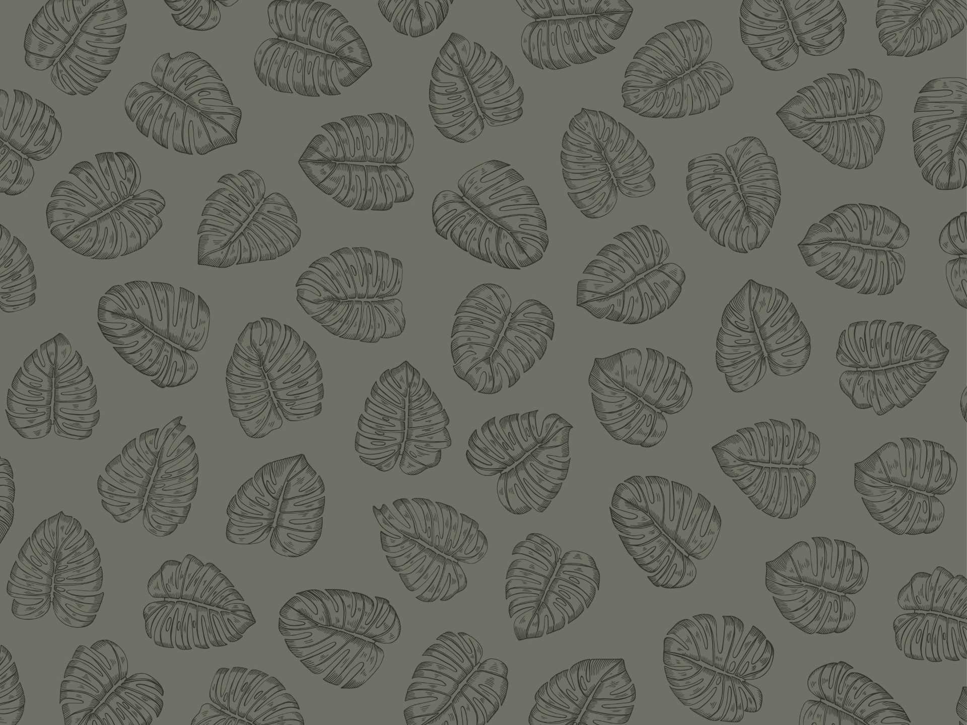 Monstera.green.blank.line.green80 Monstera è una carta da parati realizzata da Lucia Simonetti in collaborazione con Manarti