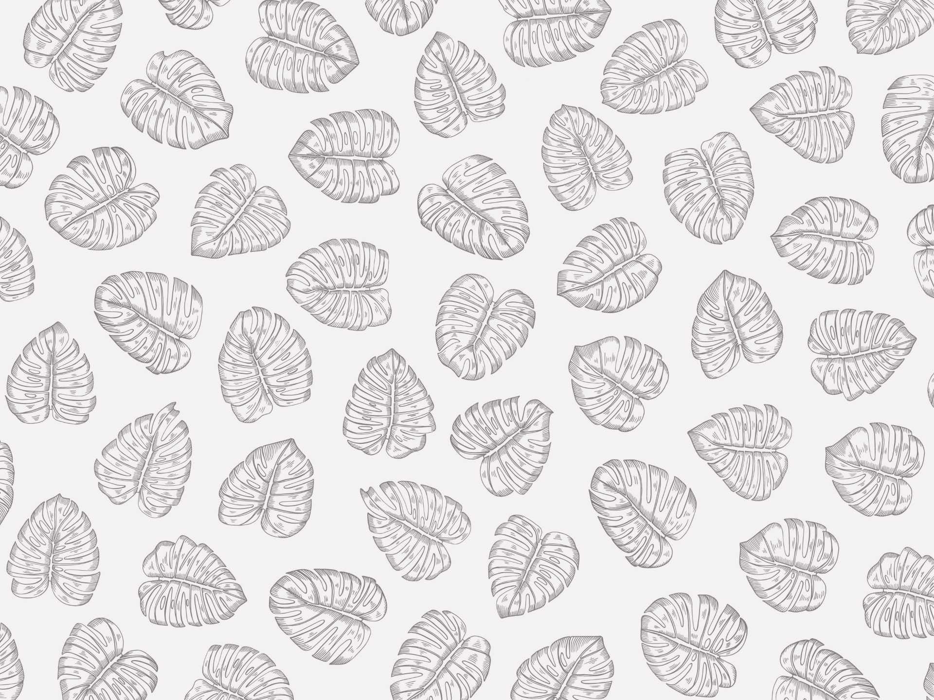 Monstera.white.blank.line.grey35 Monstera è una carta da parati realizzata da Lucia Simonetti in collaborazione con Manarti