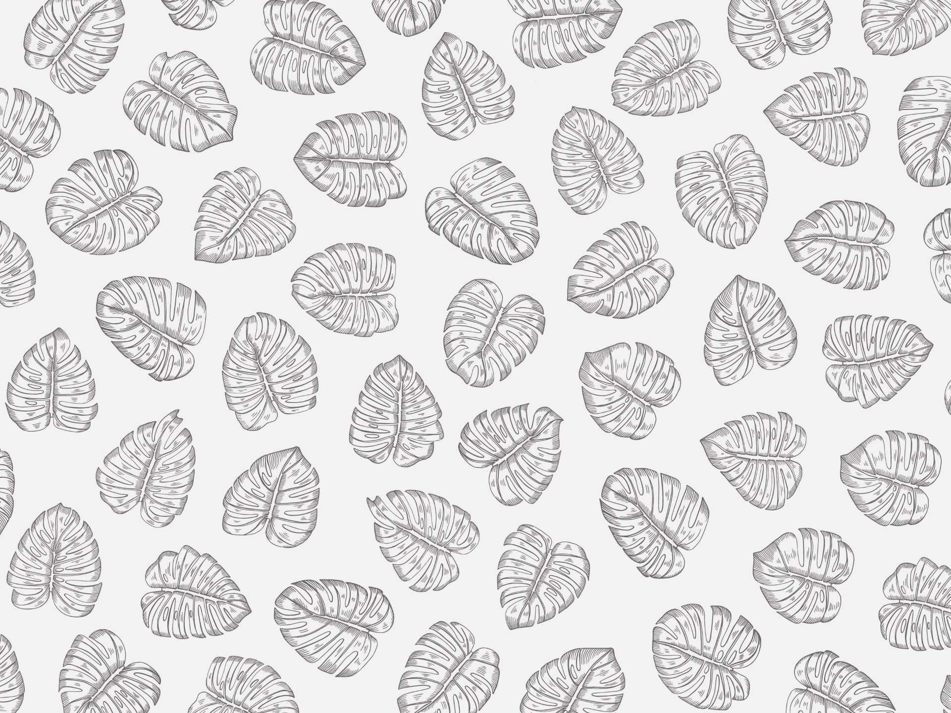 Monstera.white.blank.line.grey53 Monstera è una carta da parati realizzata da Lucia Simonetti in collaborazione con Manarti
