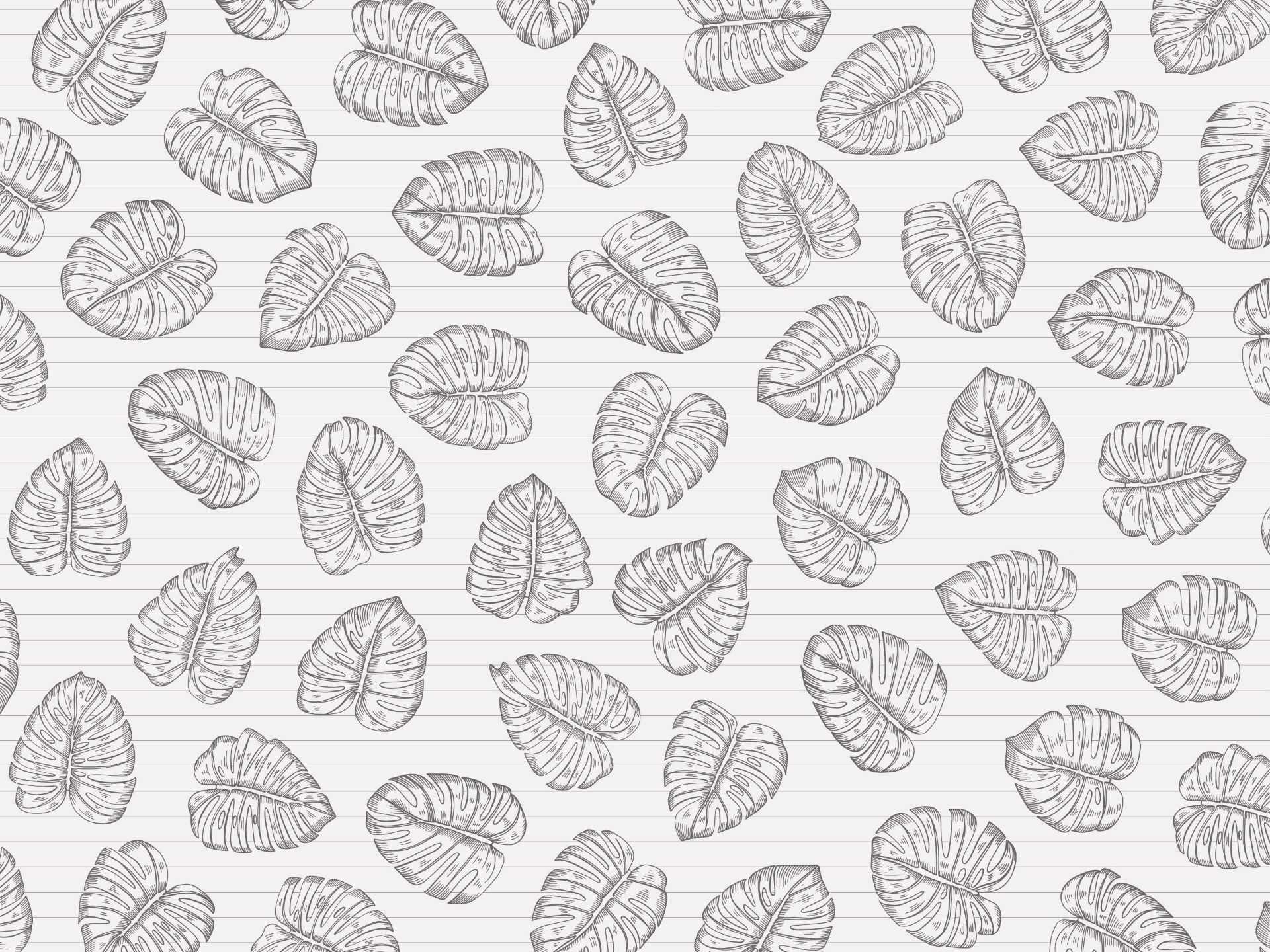 Monstera.white.split.line.grey53 Monstera è una carta da parati realizzata da Lucia Simonetti in collaborazione con Manarti