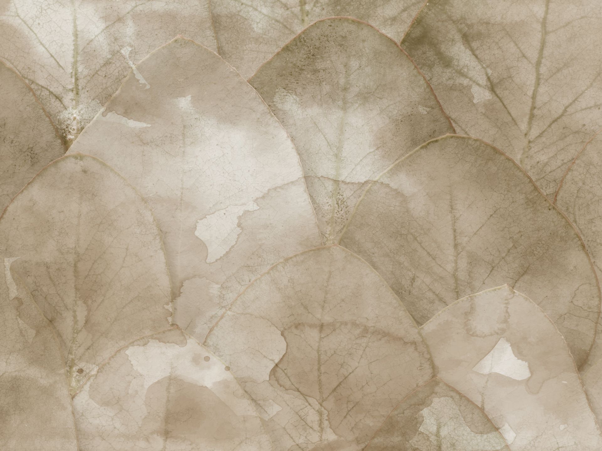Z596.2_Momento_di_riflessioni_carta_da_parati_wallpaper_manarti_collezione_soft Momento di riflessioni è una carta da parati realizzata da Manarti