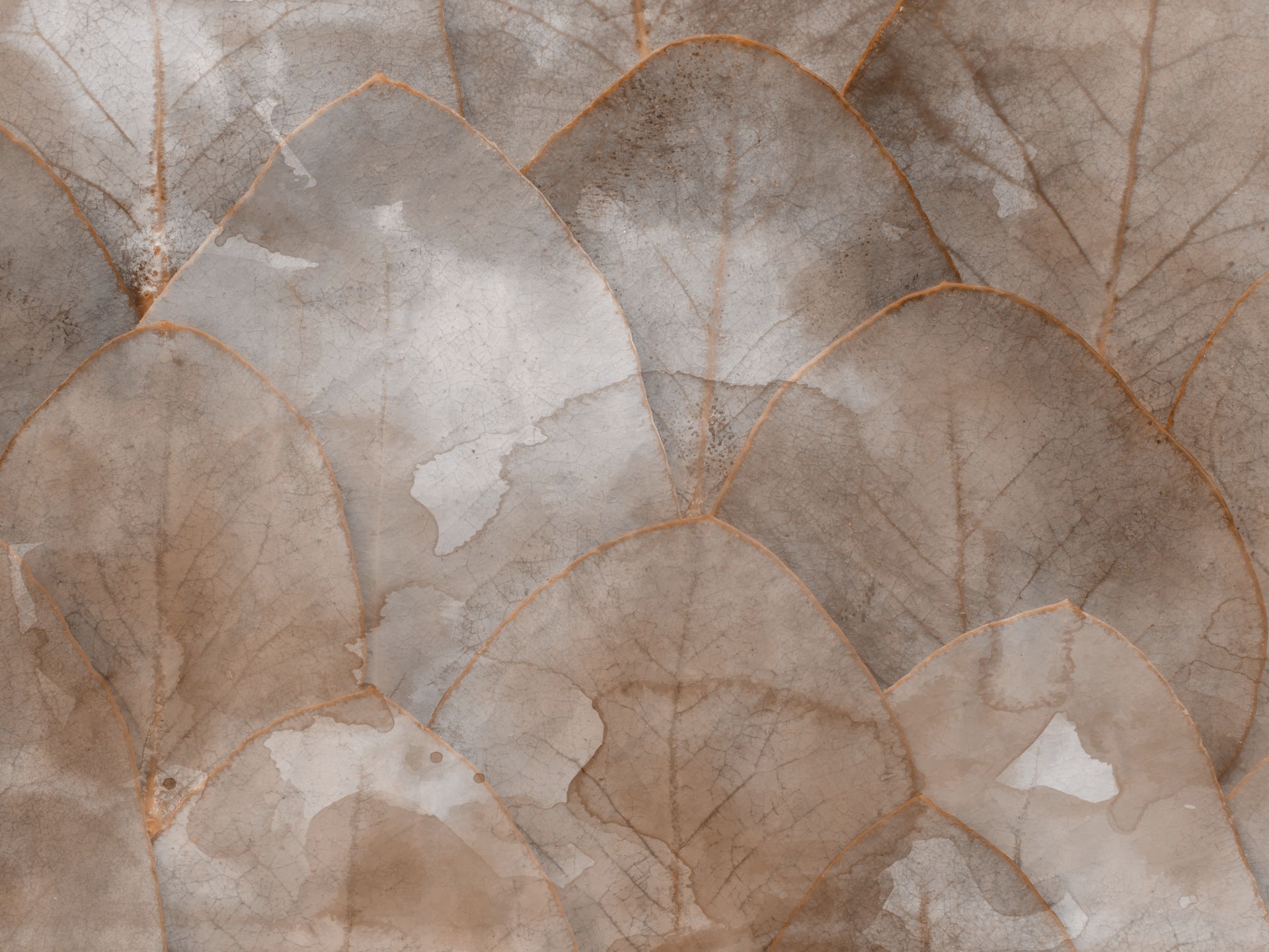 Z596.4_Momento_di_riflessioni_carta_da_parati_wallpaper_manarti_collezione_soft Momento di riflessioni è una carta da parati realizzata da Manarti
