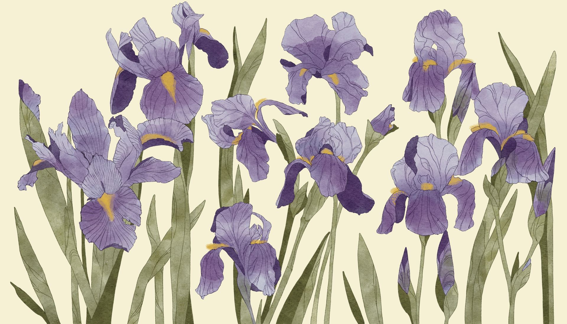 Wabi_Iris_carta_da_parati_manarti_wallpaper_ Wabi-Iris è una carta da parati realizzata da Claudia Mistero in collaborazione con Manarti