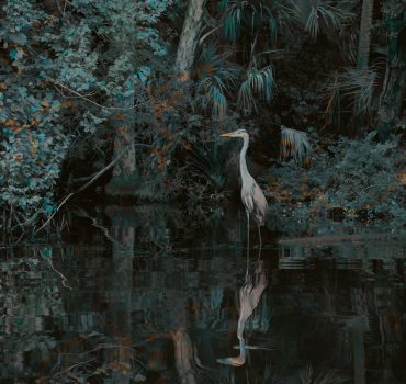 Garzas è una carta da parati realizzata da Manarti