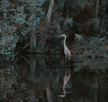 Garzas è una carta da parati realizzata da Manarti