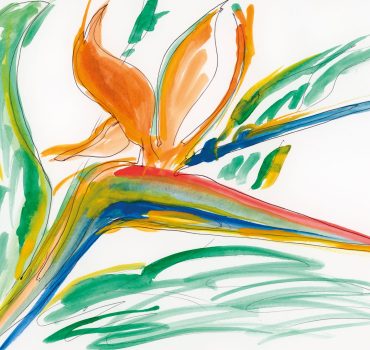 Bird of Paradise è una carta da parati realizzata da Giovanni Montella in collaborazione con Manarti