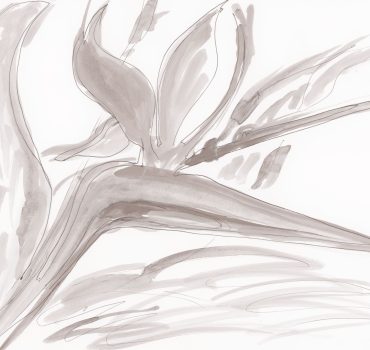 Bird of Paradise è una carta da parati realizzata da Giovanni Montella in collaborazione con Manarti