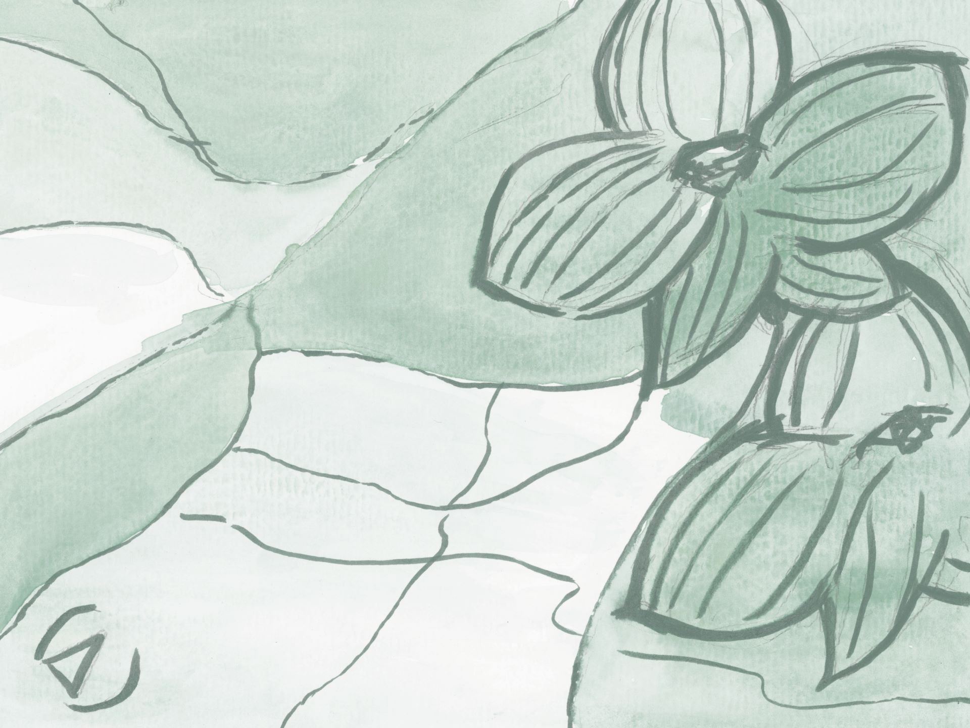 Z710.4_Watercolor_flower_carta_da_parati_manarti_wallpaper Watercolor flower è una carta da parati realizzata da Manarti