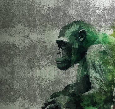 Scimmia è una carta da parati realizzata da Amaranto in collaborazione con Manarti