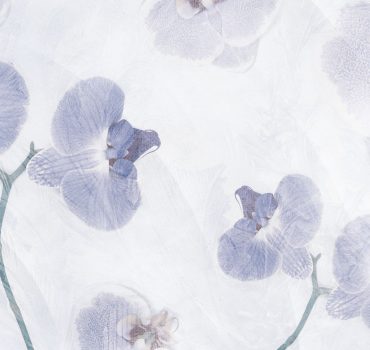 Orchidee compresse è una carta da parati realizzata da Manarti