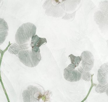 Orchidee compresse è una carta da parati realizzata da Manarti