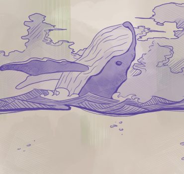 Whale è una carta da parati realizzata da Enrico Manelli in collaborazione con Manarti