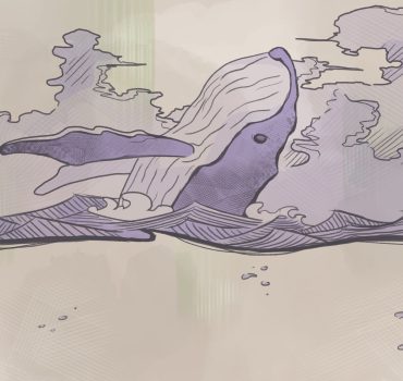 Whale è una carta da parati realizzata da Enrico Manelli in collaborazione con Manarti