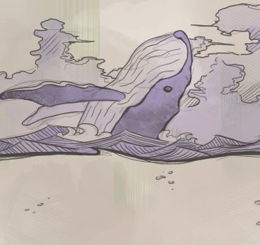 Whale è una carta da parati realizzata da Enrico Manelli in collaborazione con Manarti
