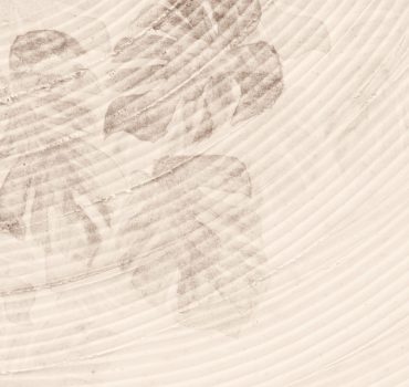 Texture naturali è una carta da parati realizzata da Manarti