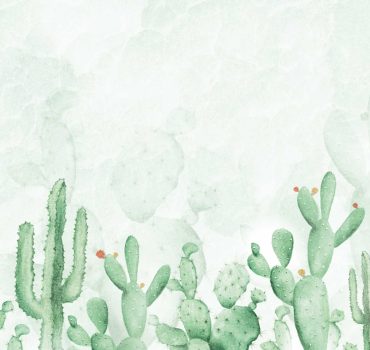 Cactusia è una carta da parati realizzata da Manarti
