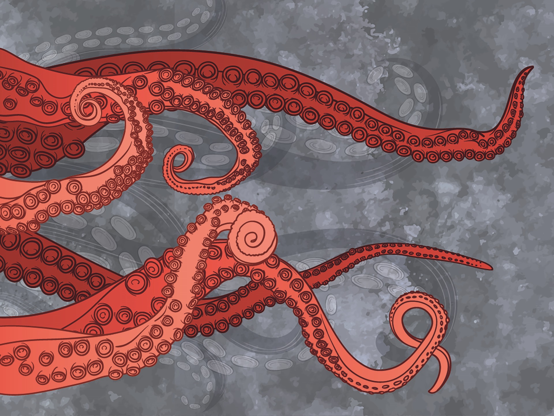 Z118 Tentacoli