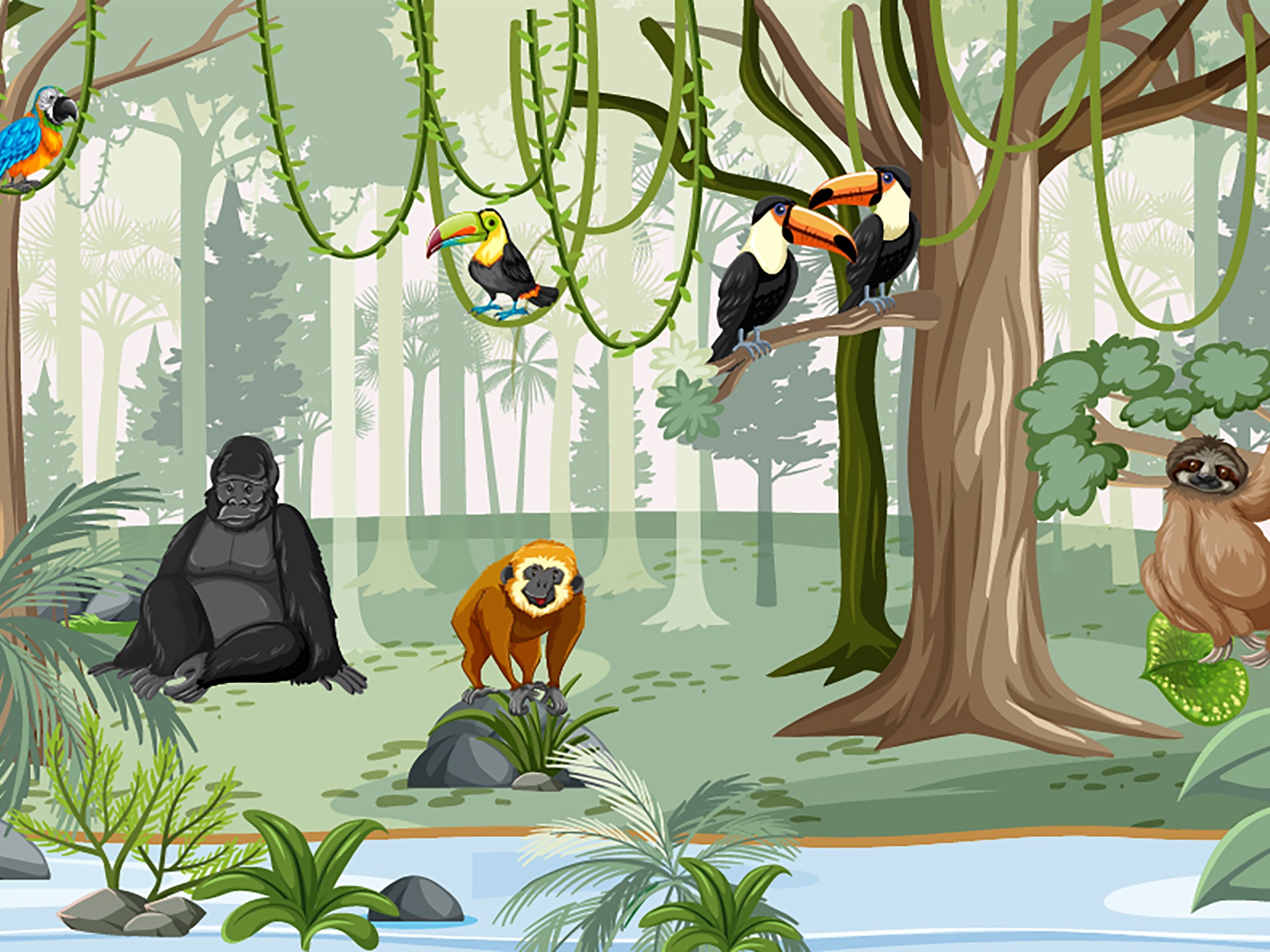 TT_br_rainforest_1