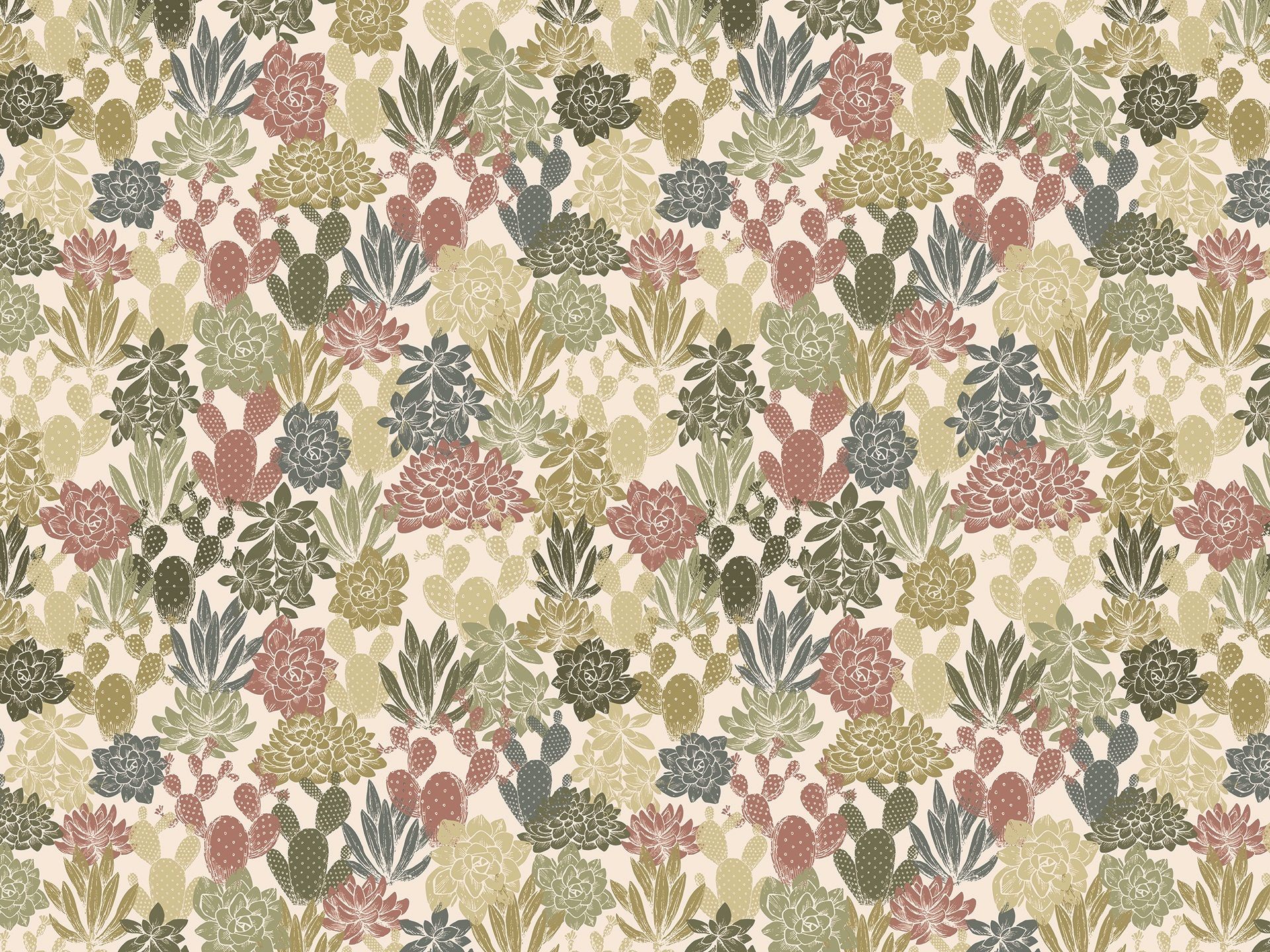 Z231 Succulente