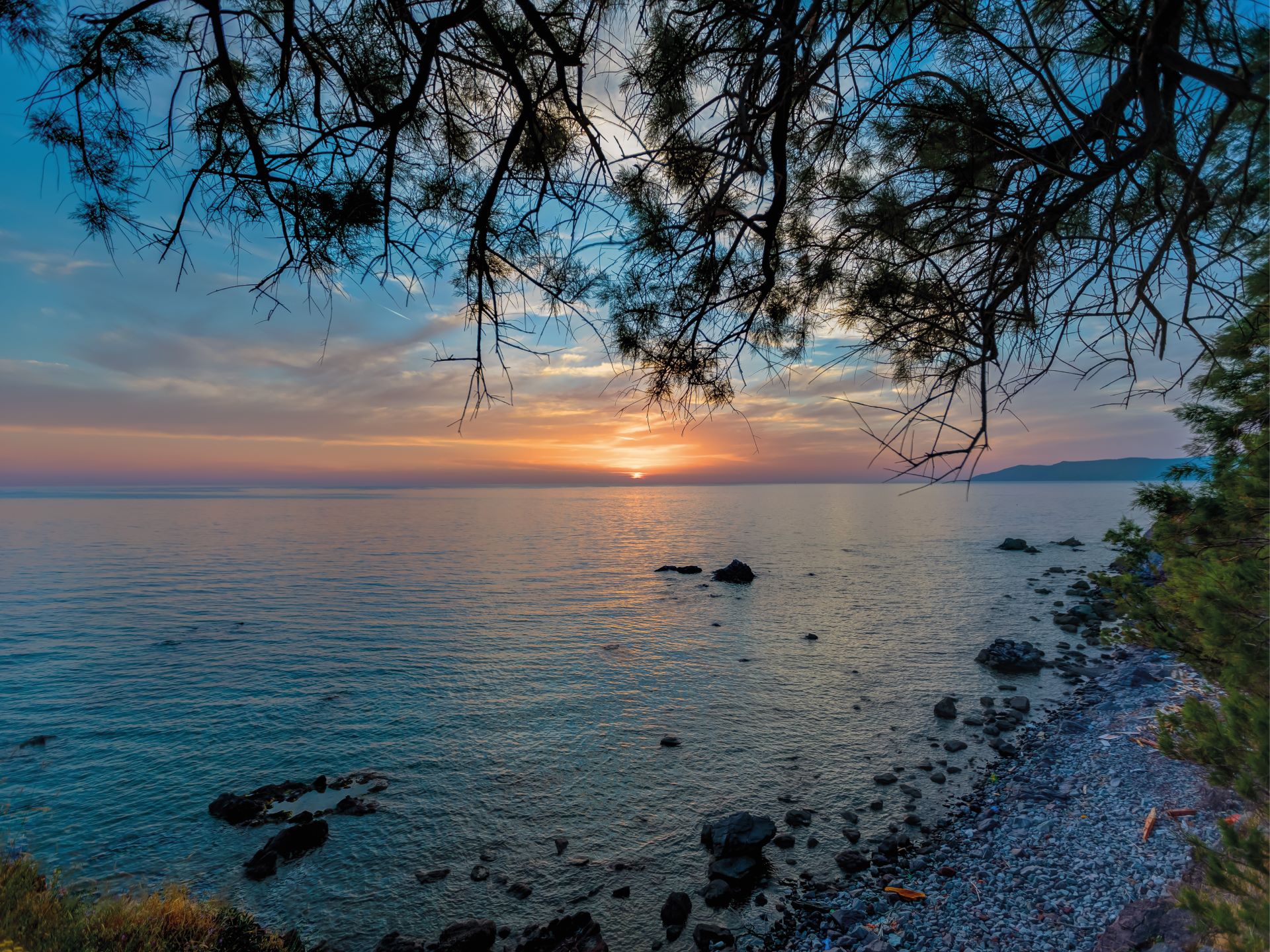 26 Alba Marina