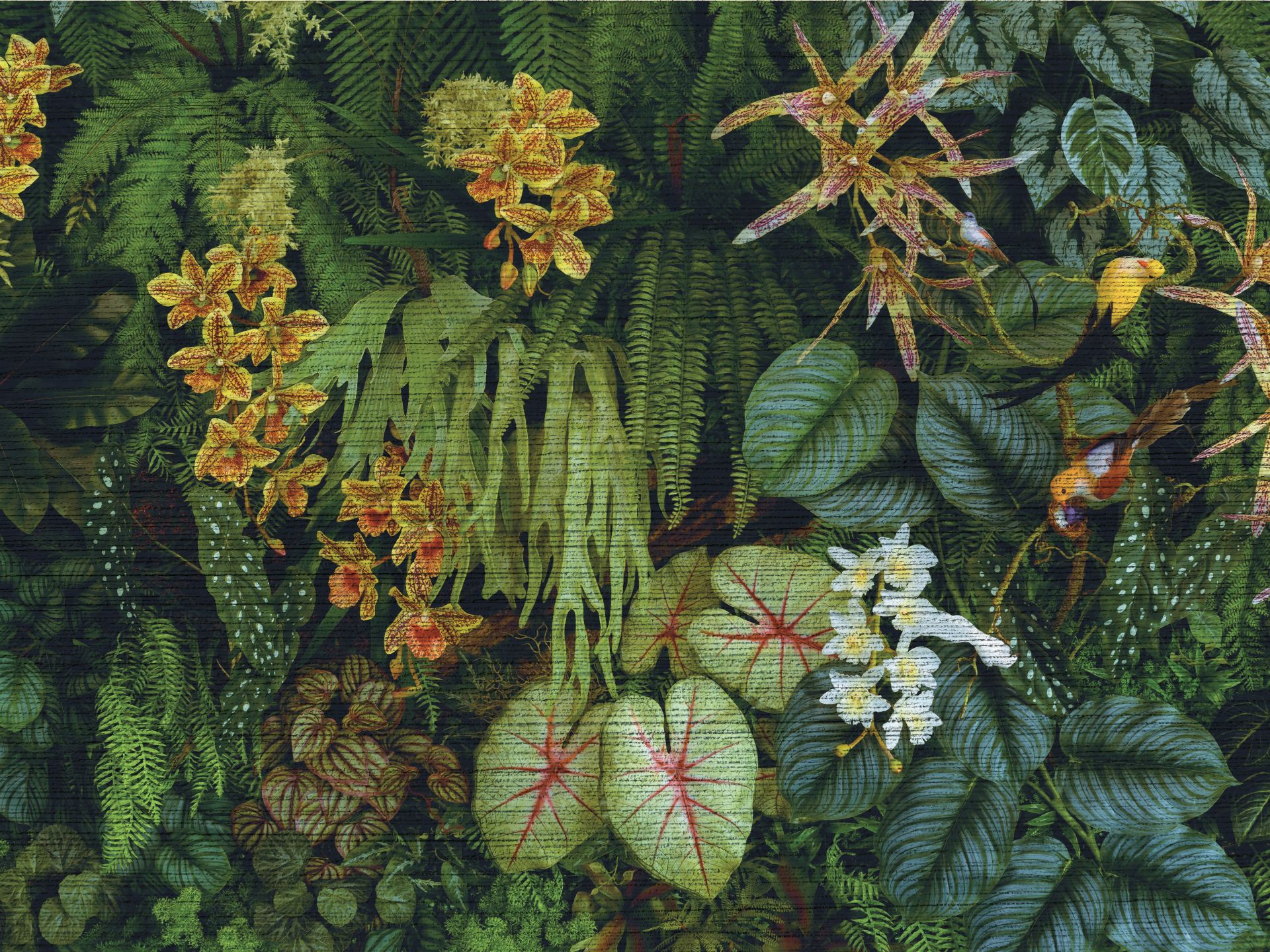Z805.1_Cuore_verde_carta_da_parati_manarti_wallpaper_collezione_natura_tropical Cuore verde è una carta da parati realizzata da Manarti