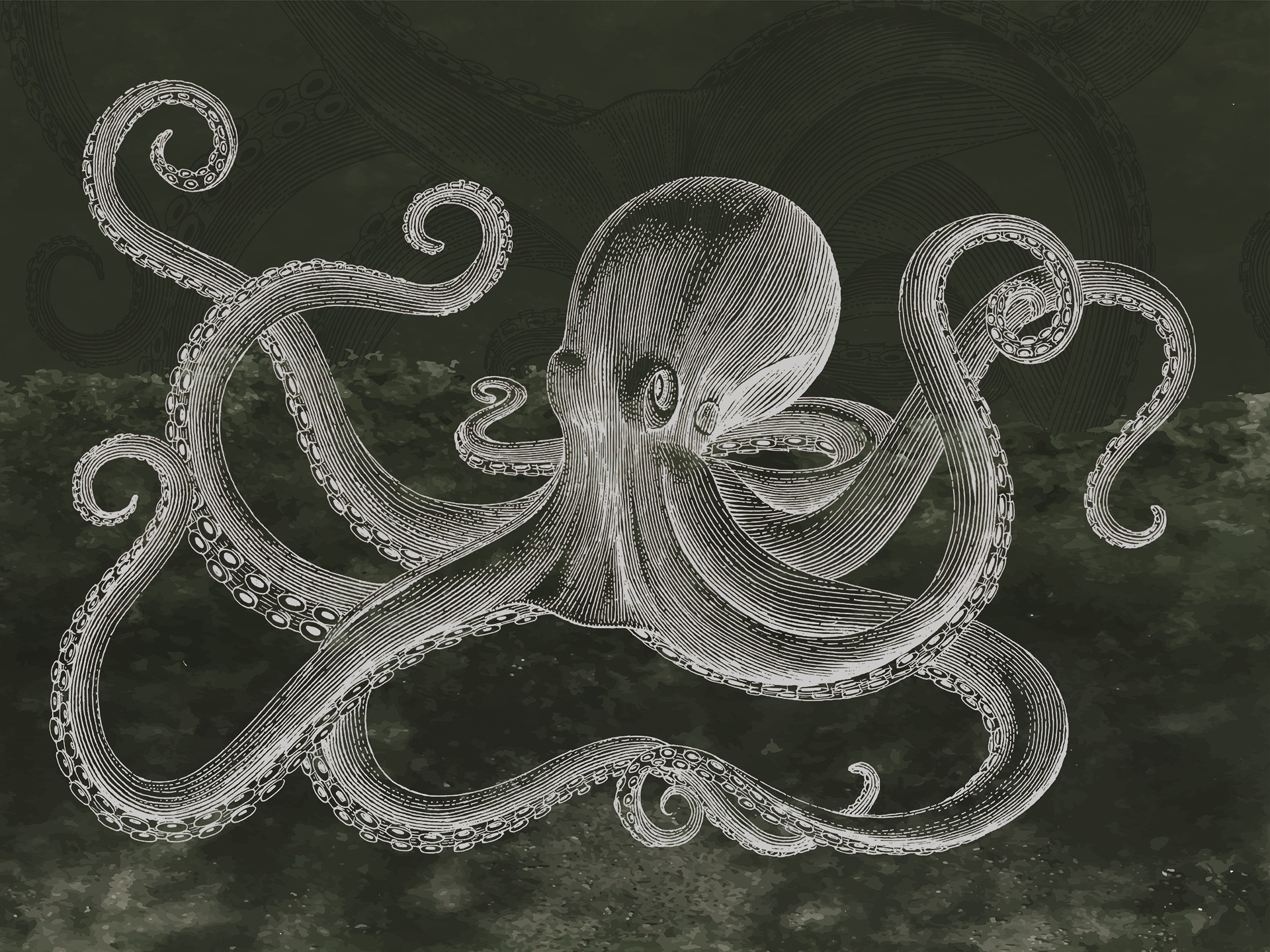 Z120 Octopus