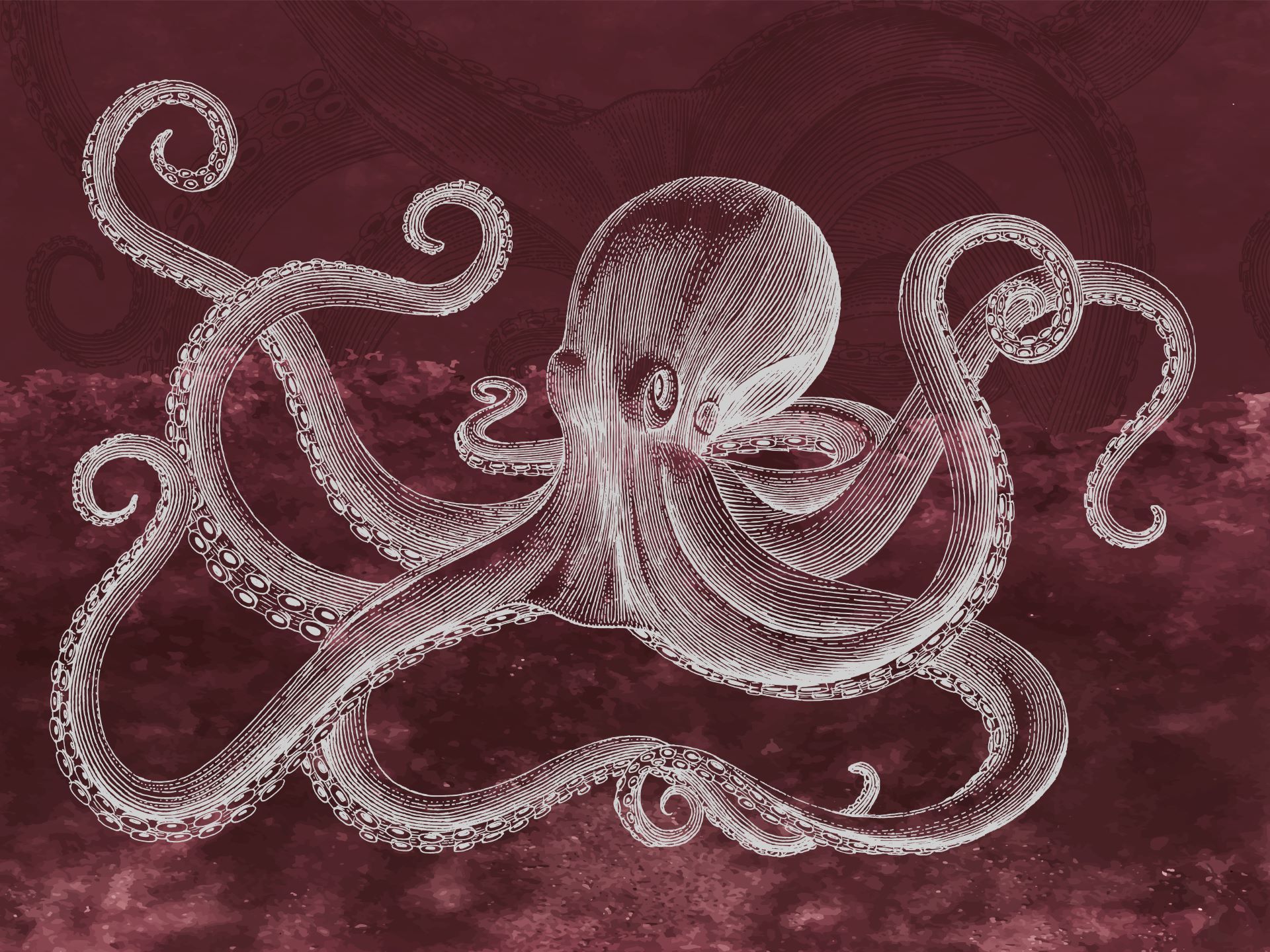 Z120.3 Octopus