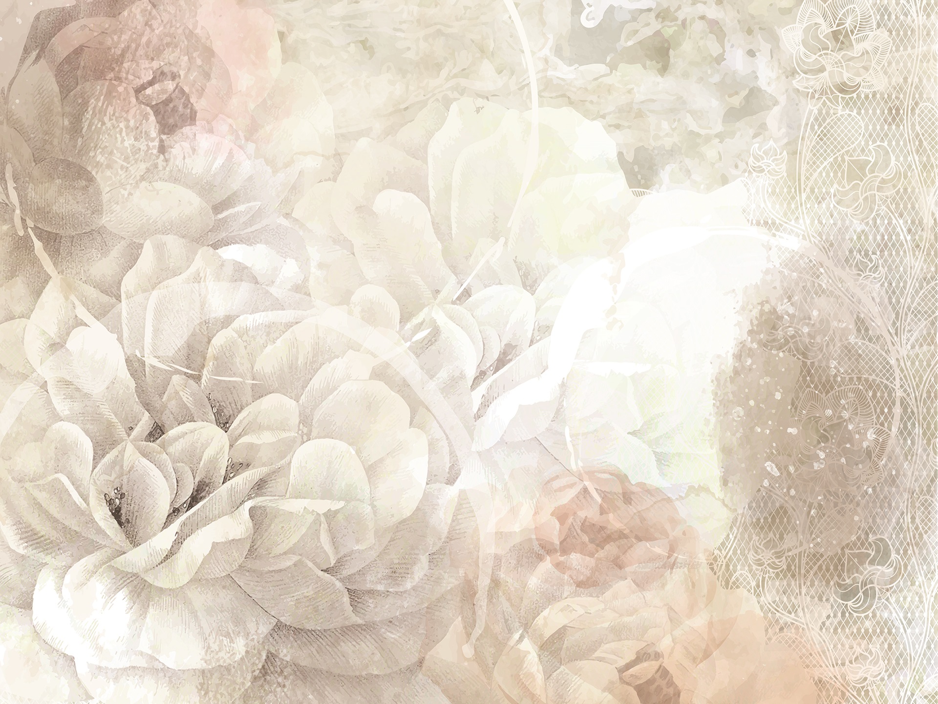 Z142.1 Soft love
