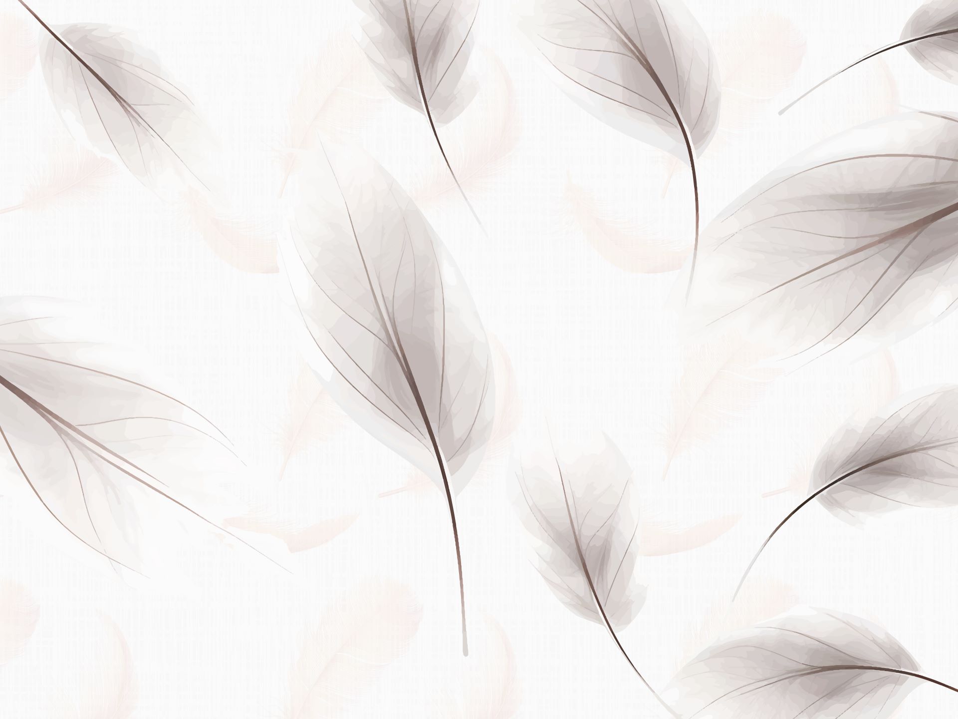 Z568.2 Plumes_Carta da parati_Manarti