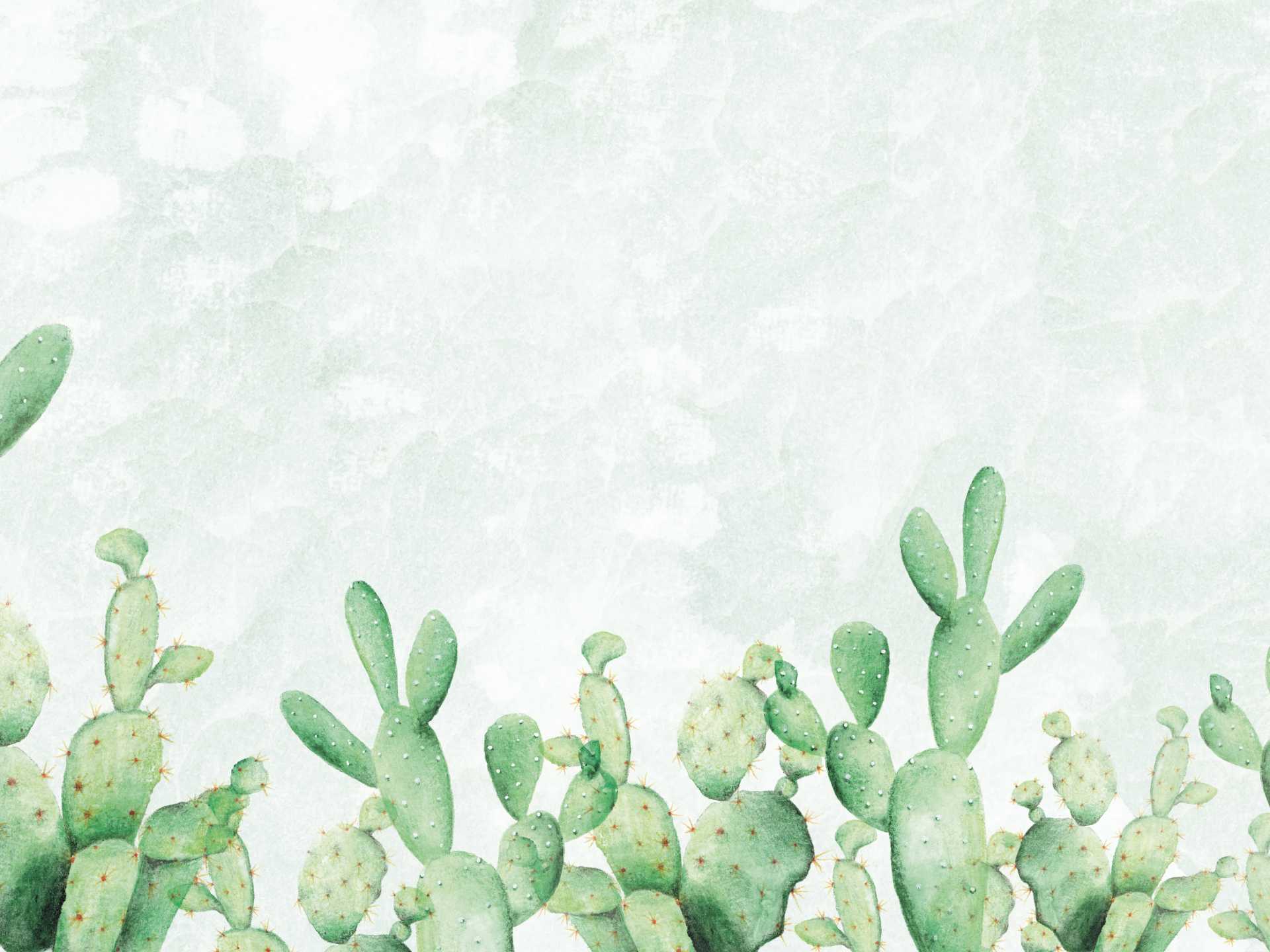 Z991.1_Cactusia_carta_da_parati_manarti_wallpaper Cactusia è una carta da parati realizzata da Manarti