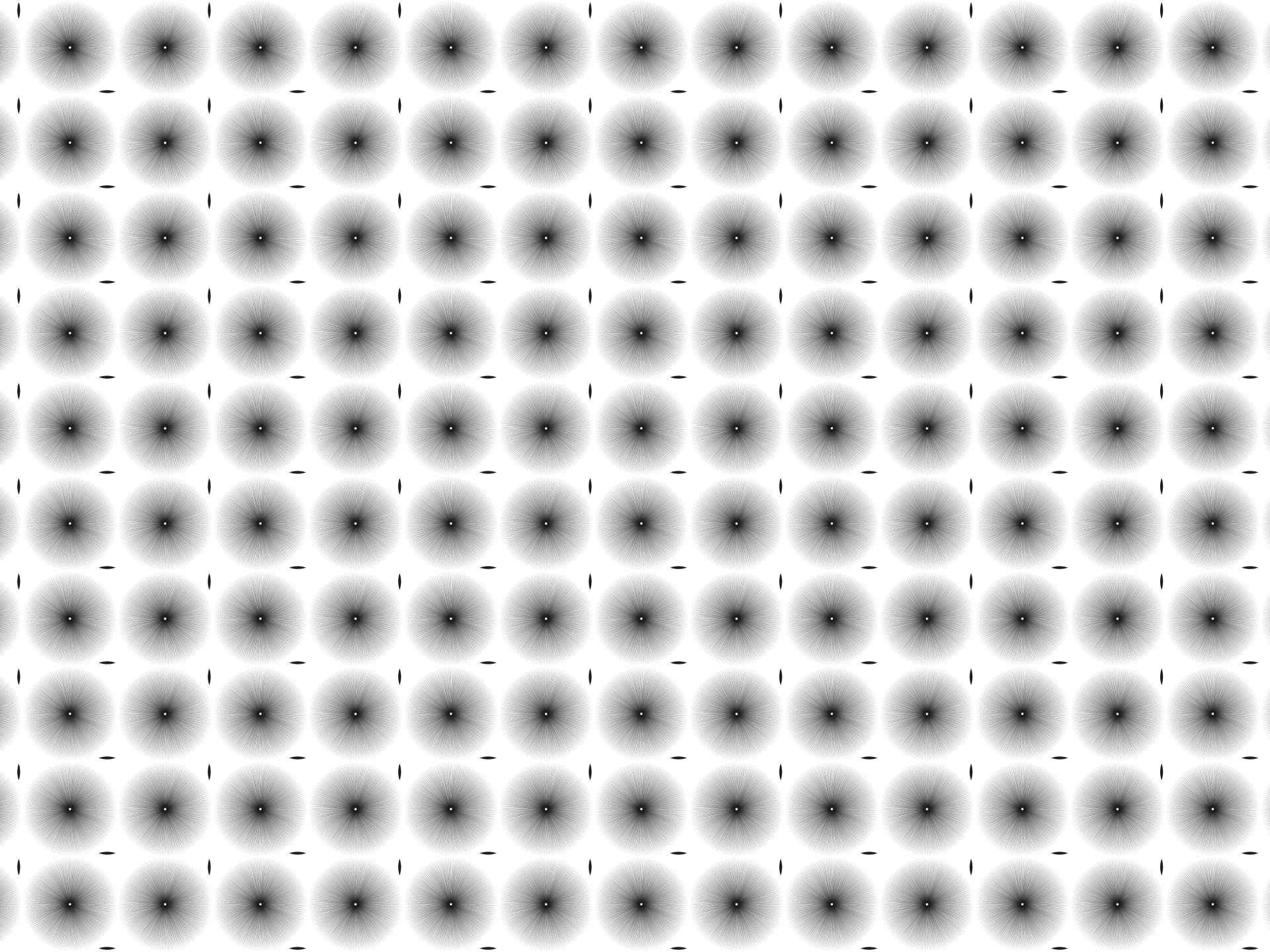 001 All that fall è una carta da parati realizzata da Pier Alfeo in collaborazione con Manarti