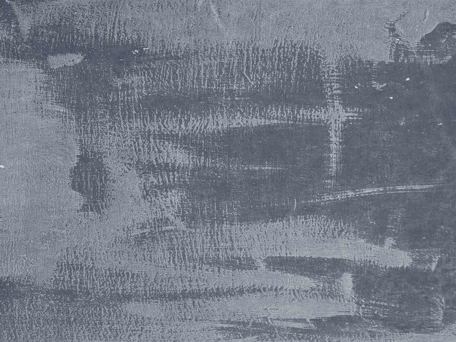 Z 1238.1 Camoscio Jeans